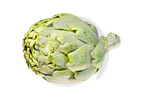 Single artichoke isolated on white