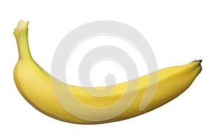 Single Banana
