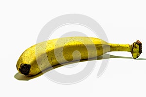 Single banana against white background, real banana