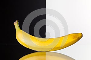 Single banana isolated on black and white background