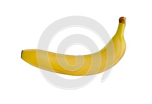 Single banana. Ripe banana isolated on white background