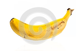 A single banana type platano de Canarias isolated on white background photo