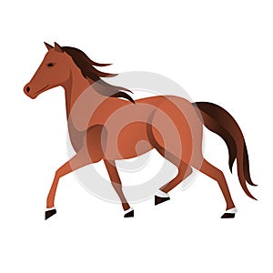 Single basic simple horse illustration in brown natural color.vector