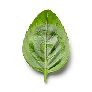 And symmetrical form is highlighted against the plain background