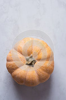 Single Beautiful Peach Color Pumpkin on Grey Stone Background. Autumn Fall Thanksgiving Harvest. Copy Space
