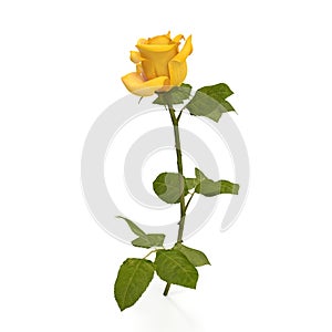 Single beautiful yellow rose isolated on white. 3D illustration