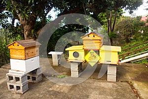 a single beehive situated next to a double hive at an apiary in the Caribbean