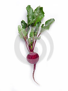 Single beetroot isolated on white background