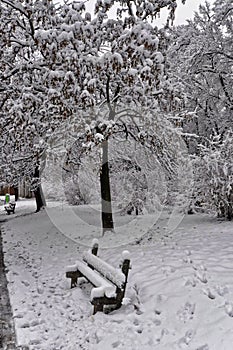 A single bench amongst and snow covered park