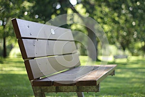 Single bench in a green park