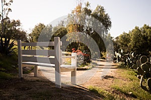 Lonely Bench at Park