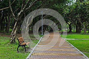 Single bench in a park