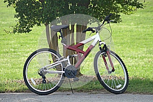 Single Bike Parked By Tree