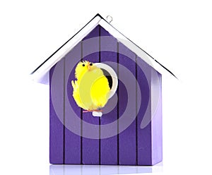 Single bird house