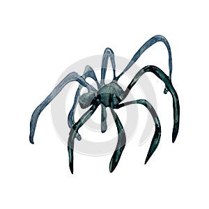 Single black spider watercolor illustration isolated on white