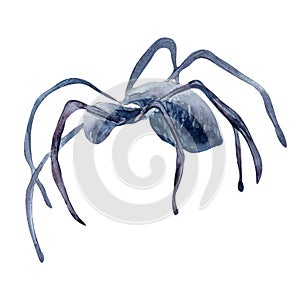 Single black spider, witchcraft watercolor illustration isolated on white.