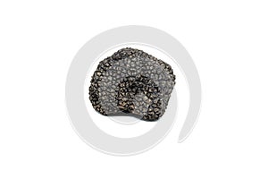single black truffle & x28;tuber aestivum& x29;, uncut and raw on white background