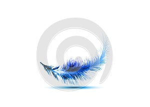 Single blue feather vector isolated on white background. Levitation plume, lightness concept icon