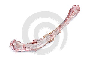 Single bone with flesh