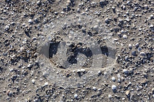 Single boot footstep inprinted in sand
