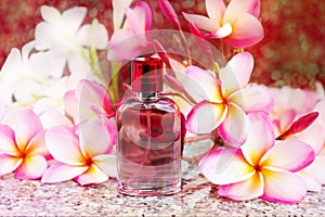 Single bottle of sweet pink fragrant perfume