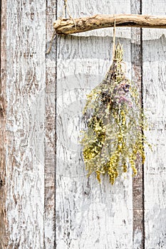 A single bouquet of flowers tied up on driftwood