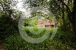 Small brick home in the wood