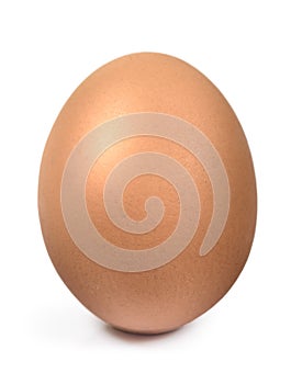 Single brown chicken egg isolated with clipping path