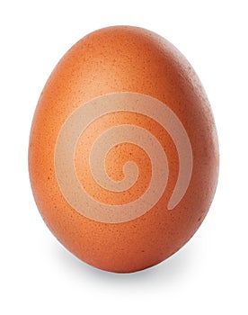 Single brown chicken egg isolated on white