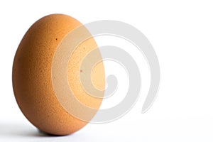 Single brown chicken egg isolated on white background. Copy Space