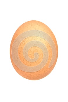 Jediný hnedý vajcia izolované na bielom pozadí 