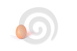 Single brown chicken egg on white fabric background
