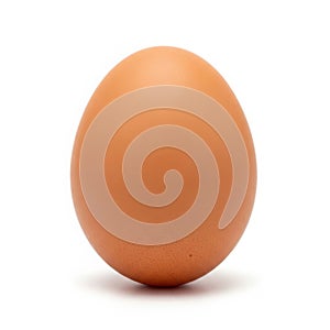 Single brown egg