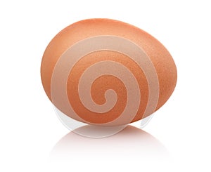 Single brown egg