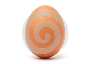 Single brown egg