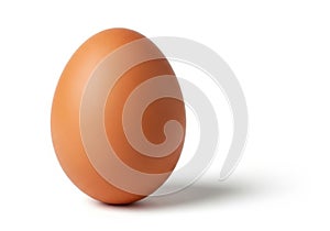 Single brown egg