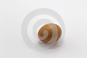 single brown egg on white background, free range egg copy space horizontal