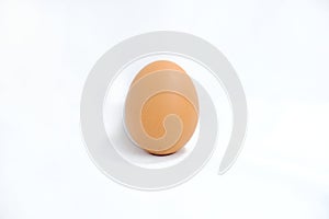 Single brown egg on a white background.