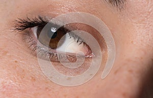 Single brown eye with mascara. Young women healthy eye close up with catchlight