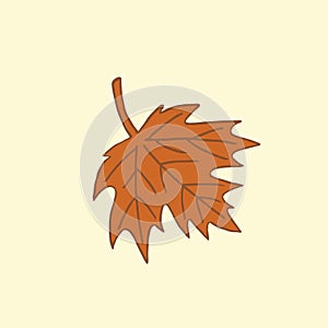 Single brown maple autumn leaf on beige background, vector