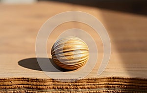 Single Brown Walnut on Wood