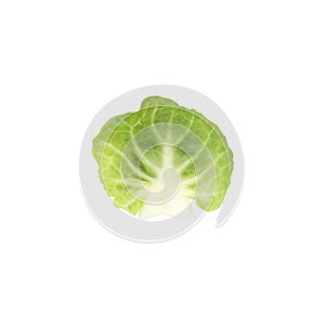 Single brussels sprout isolated on background