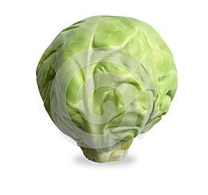 Single brussels sprout on white with path