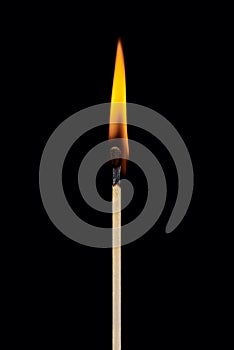 A single burning match with the flame rising up, isolated on a black background