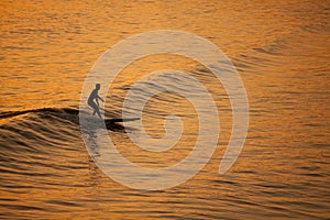 Single California surfer at sunset