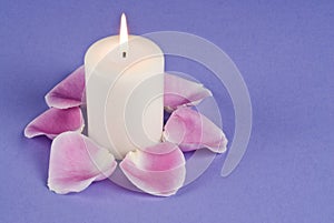 Single Candlelight and Pink Rose Pedals photo