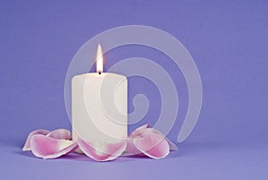 Single Candlelight and Pink Rose Pedals photo