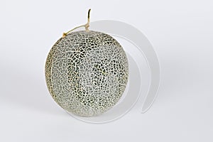 Single Cantaloupe Melon on white