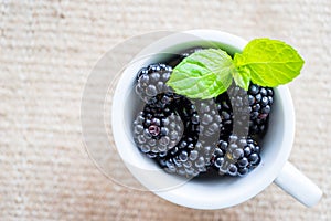 Single cap filled with fresh blackberries.