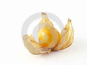 single cape gooseberry fruit isolated on white background